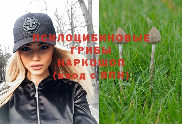 mdpv Алзамай