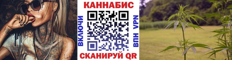Бошки Шишки план  закладки  Усинск 